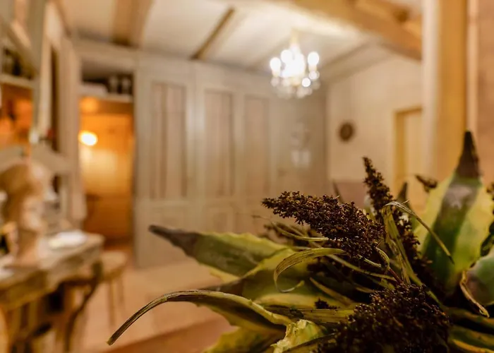 Gallery By Lesdomus Guest house