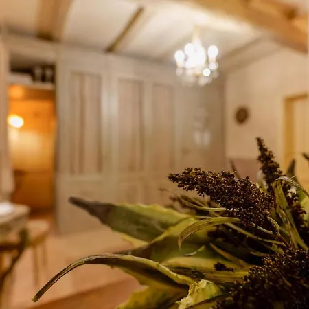 Gallery بيت ضيافة